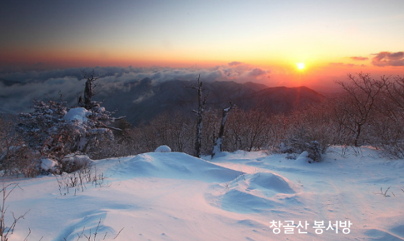 진리 이미지