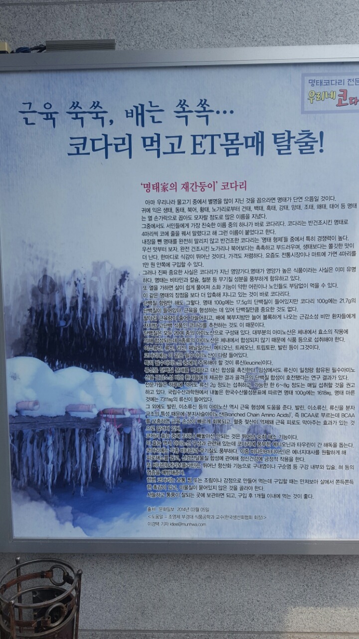 우리네코다리 이미지