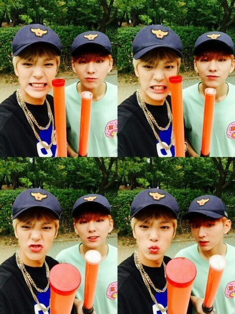 멋쟁이 이미지