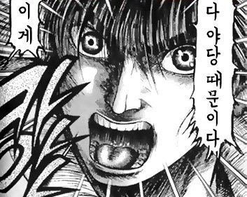 이게 전부 야당 때문이다!+자한당 때문이다!+언론(조중동한경오)때문이다!+짤 추가 | 인스티즈