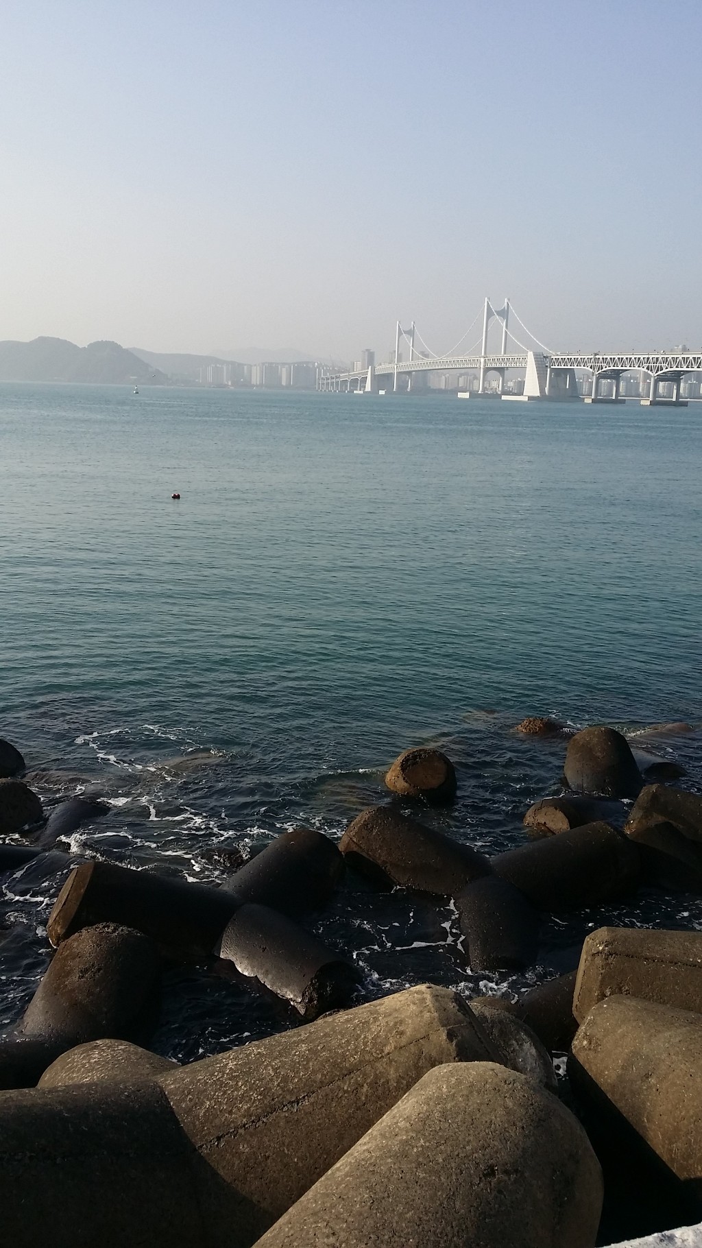 금산쭈꾸미 이미지