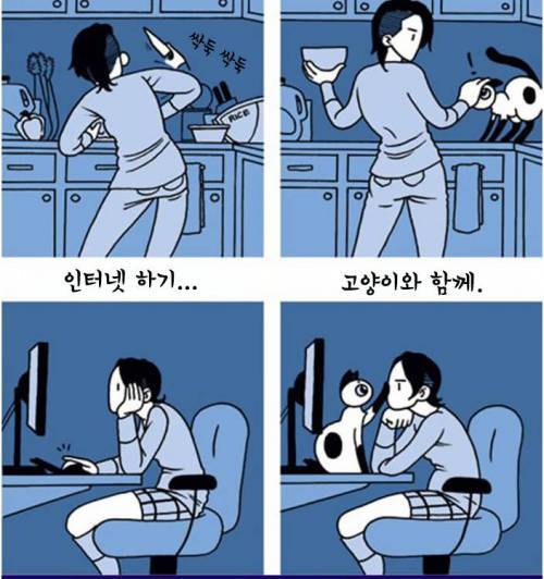 집사들 공감 짤들 | 인스티즈