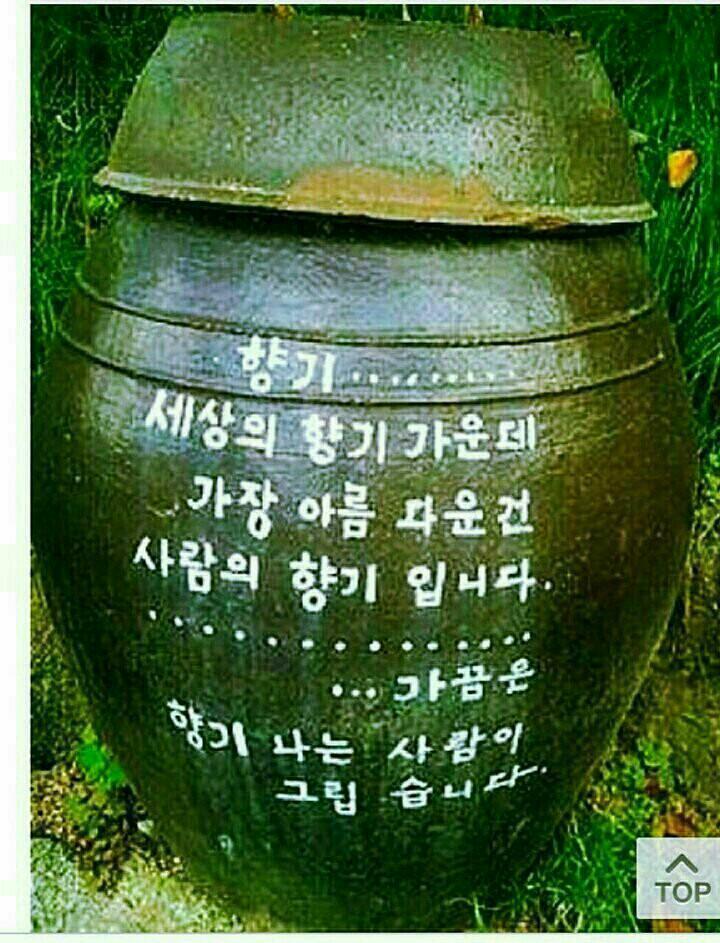 영아 이미지
