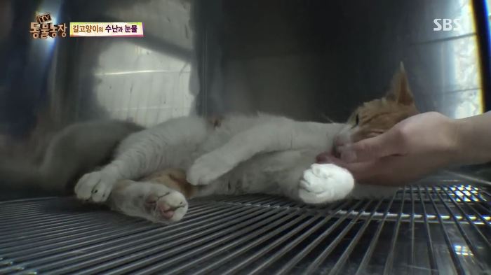 눈앞에서 제 아이가 맞아죽었습니다. 도와주세요 | 인스티즈