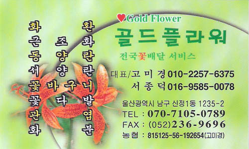 골드플라워 이미지