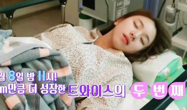 [트와이스] 채영이가 아기맹수인 이유 | 인스티즈