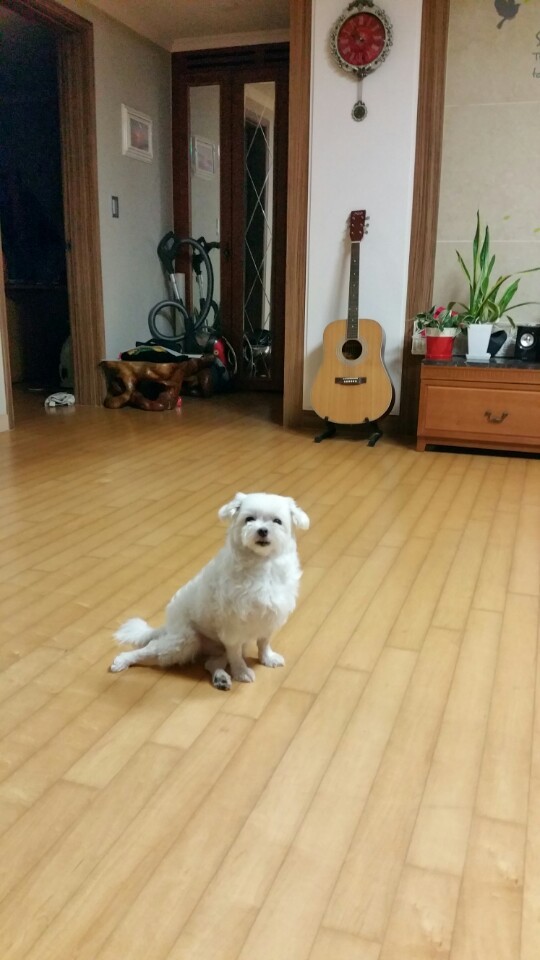 러키 이미지