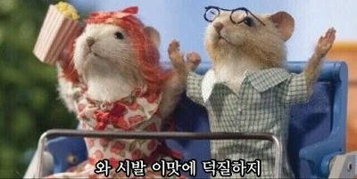 3대 소속사(SM/JYP/YG)와 팬들의 관계 | 인스티즈