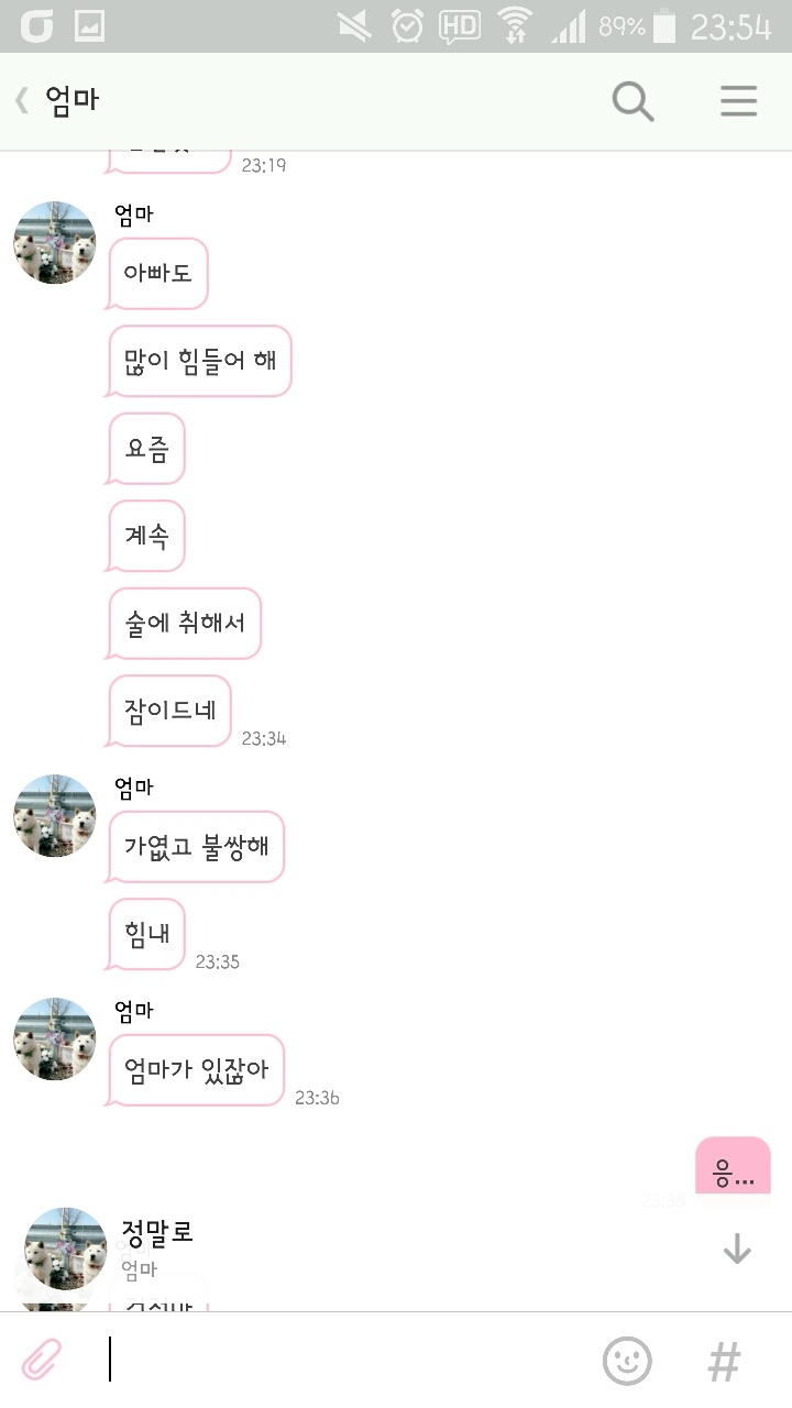 창녕 매실이 이야기를 아시나요?개소주가 되어서 돌아온 우리 매실이를 기억해주세요. 동물보호법강화를 위해 관심가져주세요 | 인스티즈