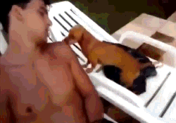 동물들과의 교감.gif | 인스티즈