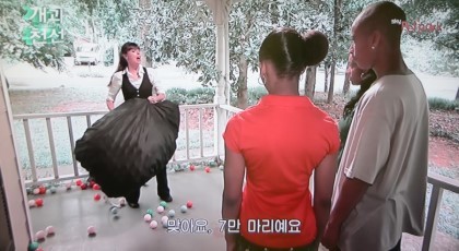 반려동물 교배에 대해 생각하고 있다면 꼭 한번 읽어봤으면 하는 글 | 인스티즈