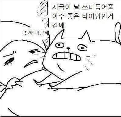 고양이 공감 (욕주의) | 인스티즈