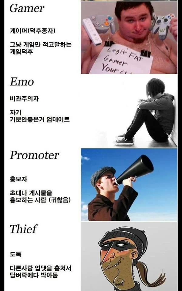 폐이스북 유형 | 인스티즈