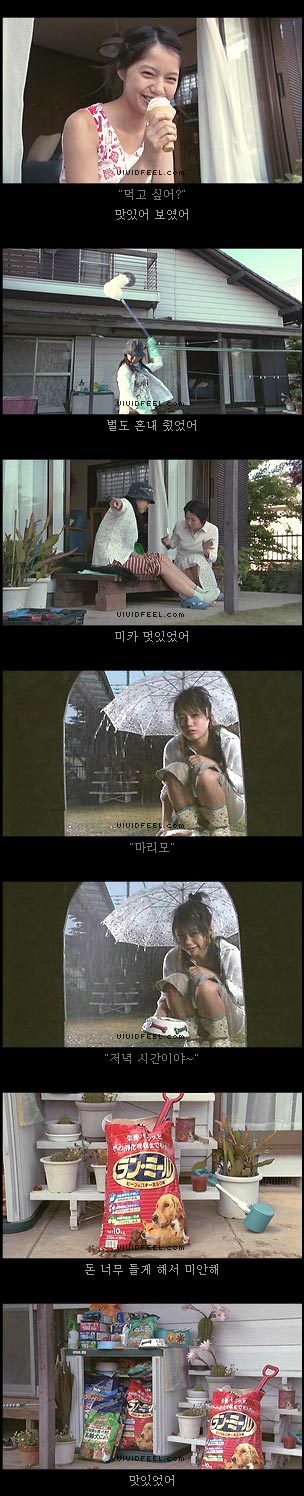 10번보면 10번 다 폭풍오열하는 이야기 [마리모이야기] | 인스티즈