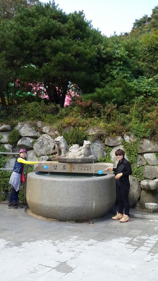 양동손칼국수 이미지