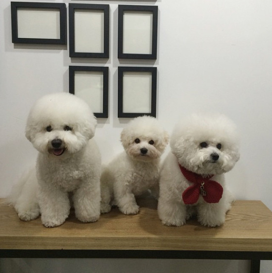 메리테 이미지