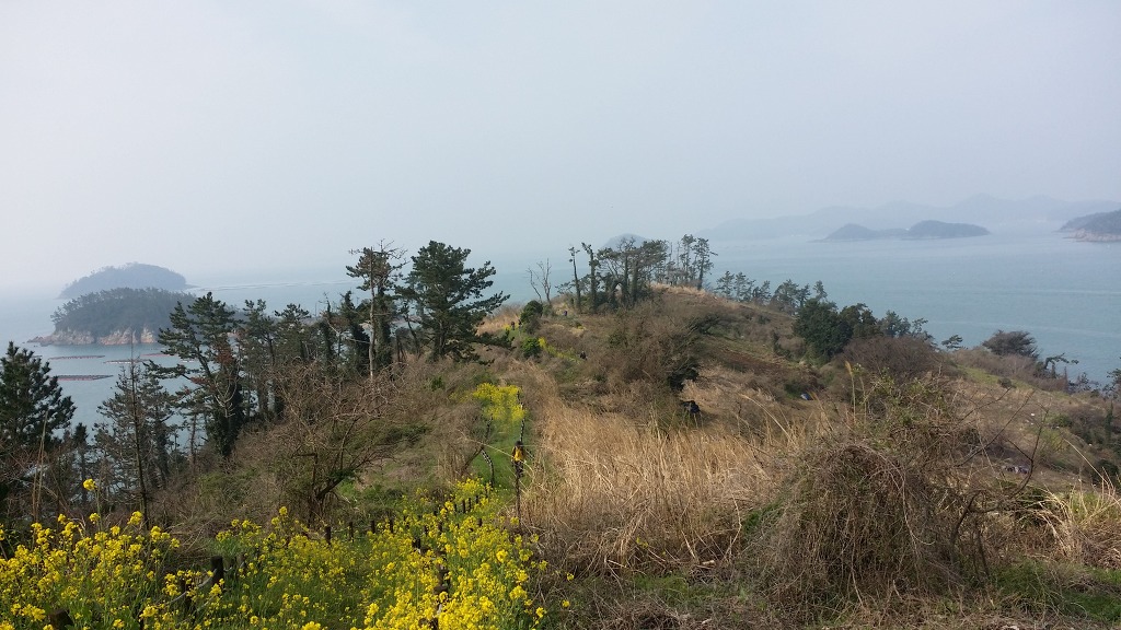 소망클린 이미지