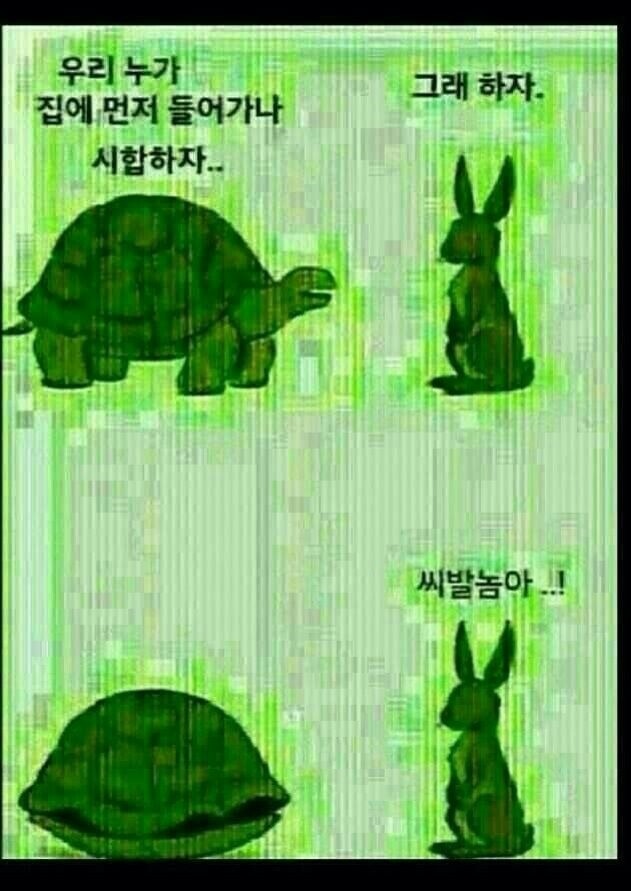 토끼와거북전 이미지
