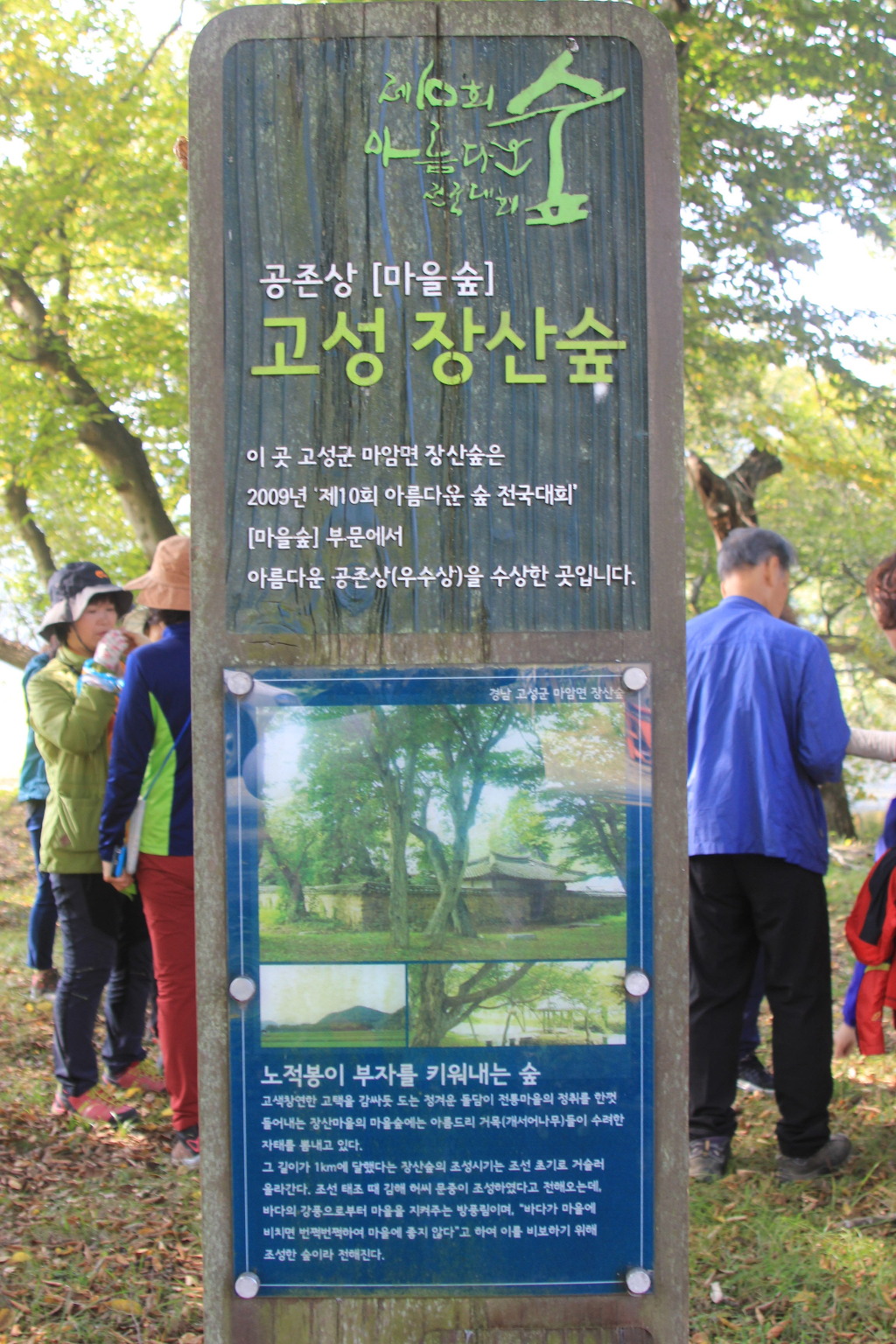 숲길 전경 이미지