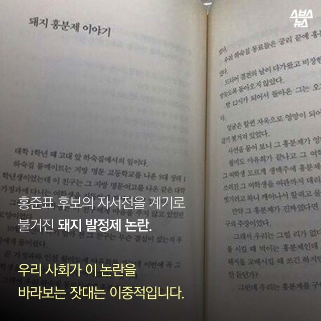 돼지발정제를 바라보는 따뜻한 시선 | 인스티즈