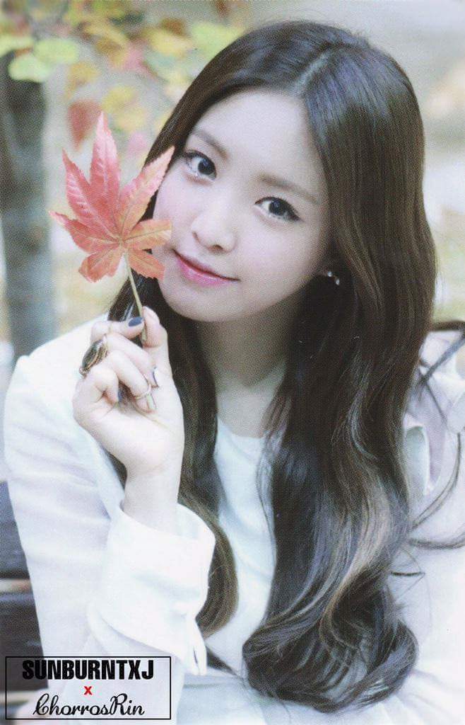 아이 좋아요 쪼호 | 인스티즈