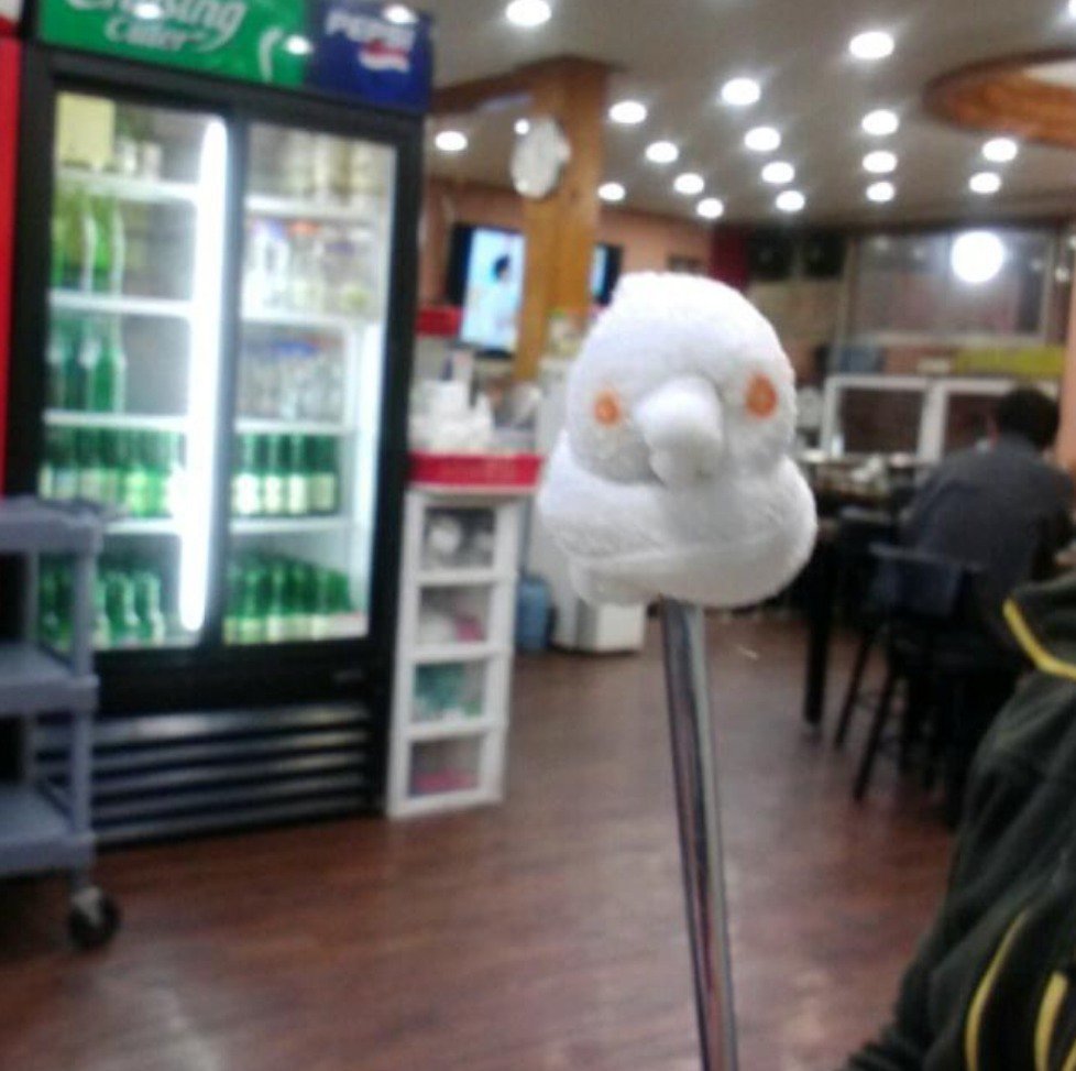 식당 물수건으로 오리 만들기.JPG | 인스티즈