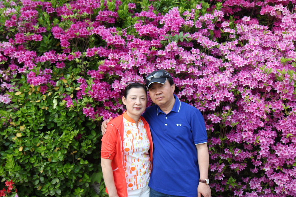화락화로 이미지