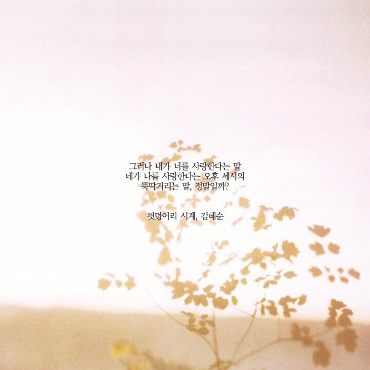  나의 전쟁은 내 마음 속으로 네가 들어온 순간 부터 시작 되었다 | 인스티즈