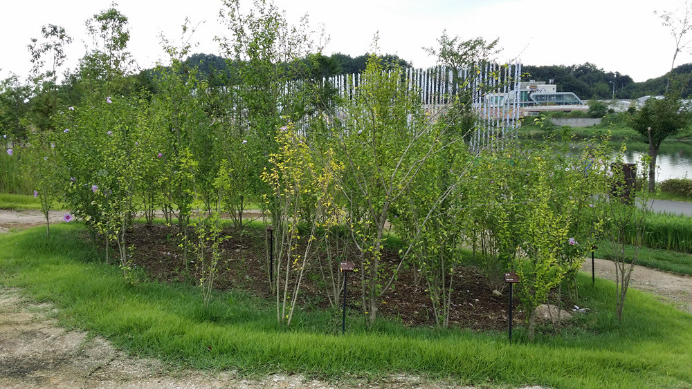 2463474855ABBF060F5FF2