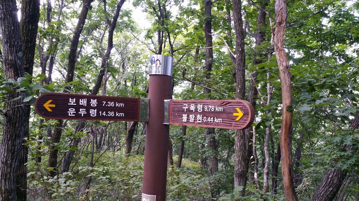 흥정계곡캠핑700 이미지