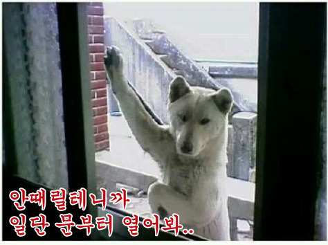 나루토 초반 임팩트는 사스케 이상급 천재.jpg | 인스티즈