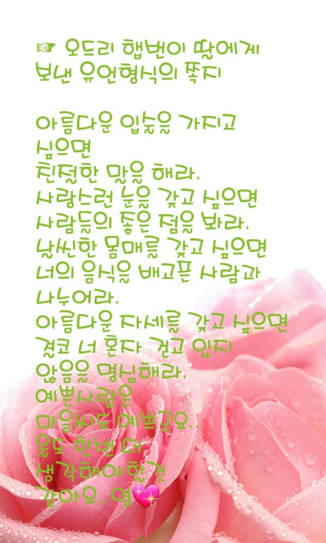 마루아라 이미지