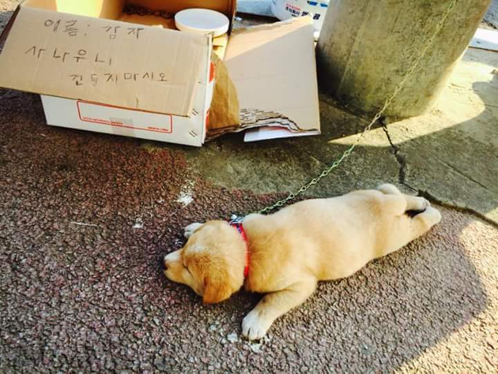 사나우니 건들지 마시오.jpg | 인스티즈