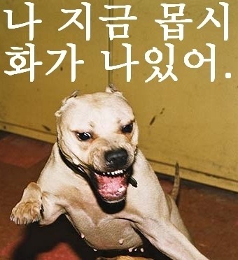 진짜 이미지