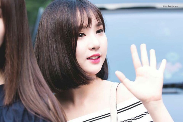 하시 이미지