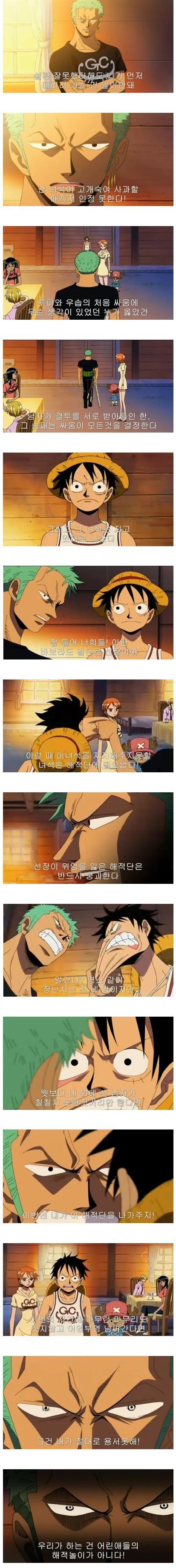 사실상 원피스 주인공.jpg | 인스티즈