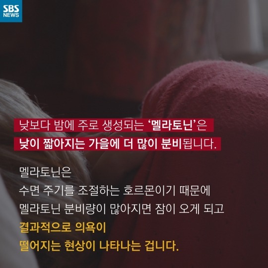 사람이 가을타는 이유 | 인스티즈