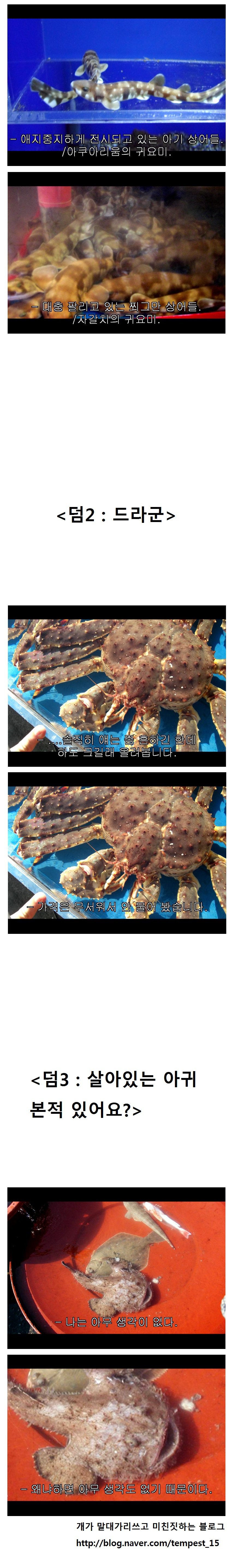 그러니 여러분은 아쿠아리움을 멀리하고 자갈치를 가시는게 좋습니다 | 인스티즈