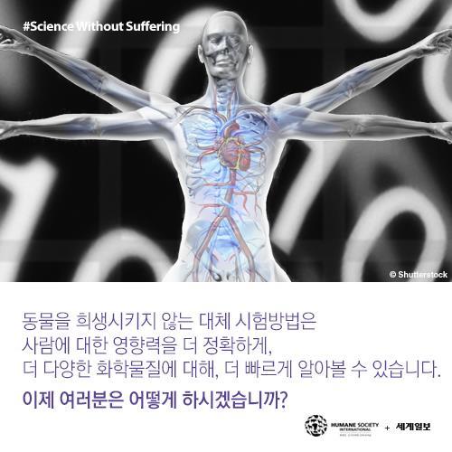 저를 죽이기 전에 눈을 한번 봐주세요(혐오주의) | 인스티즈