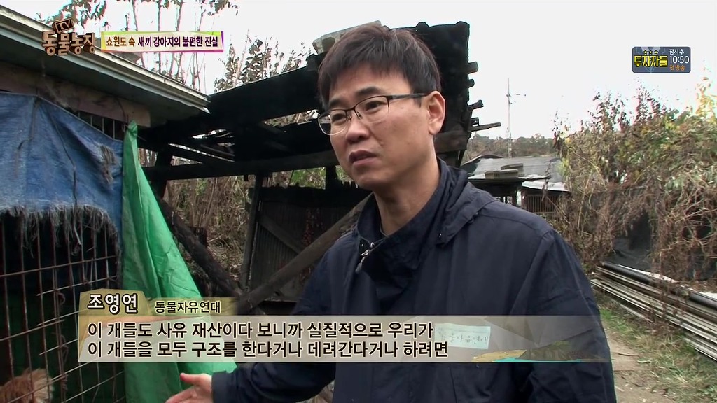 충격과 공포의 오늘자 동물농장(혐오주의) | 인스티즈