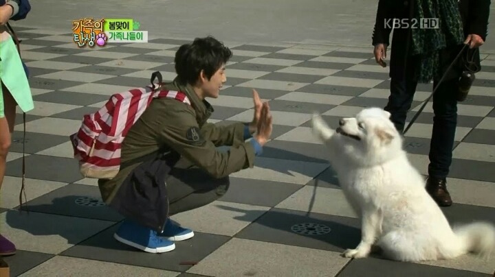 하다하다 개나 고양이도 잘생긴 남자의 낯짝은 알아봄 | 인스티즈