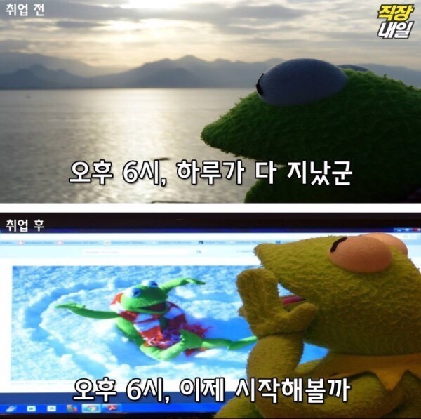 직장인이 되기 전/후 | 인스티즈