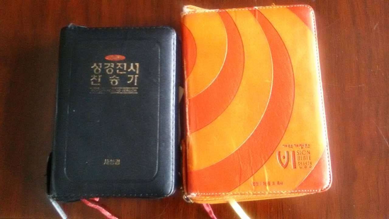 다람 이미지