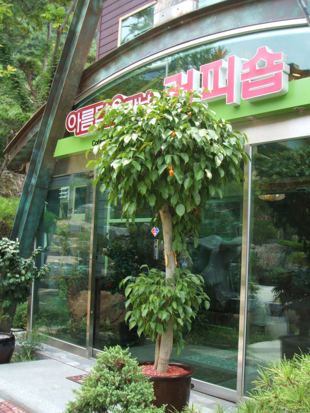 대한수목원 이미지