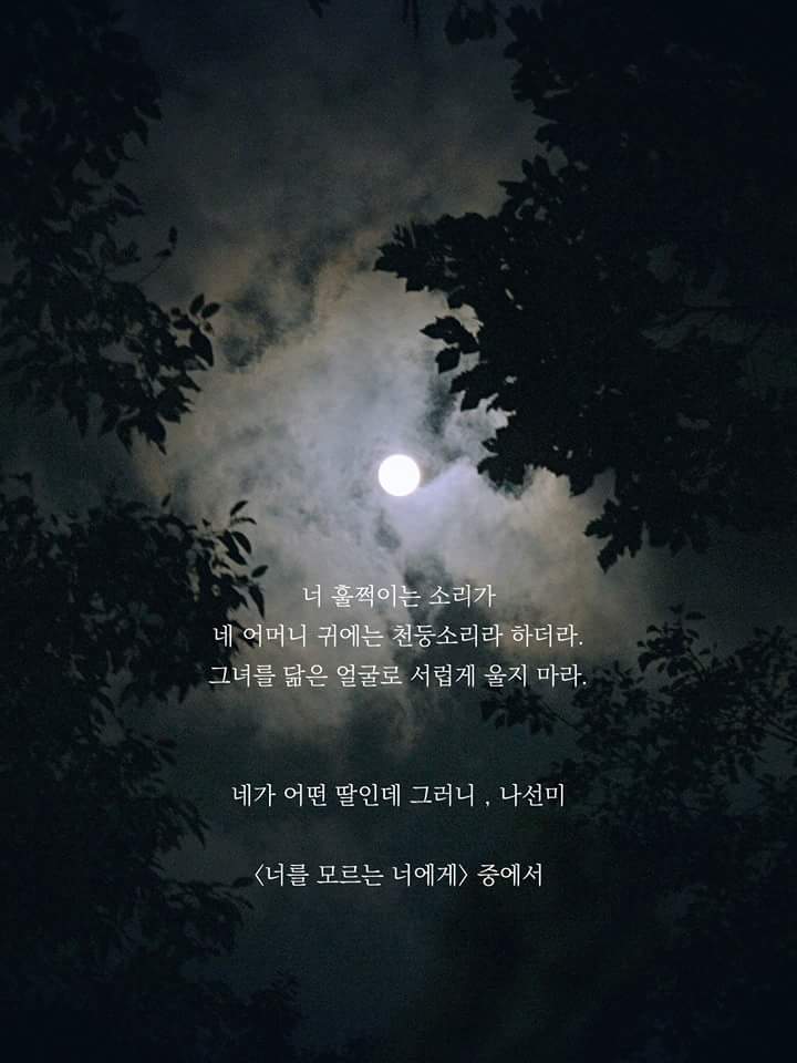아이러빗 이미지