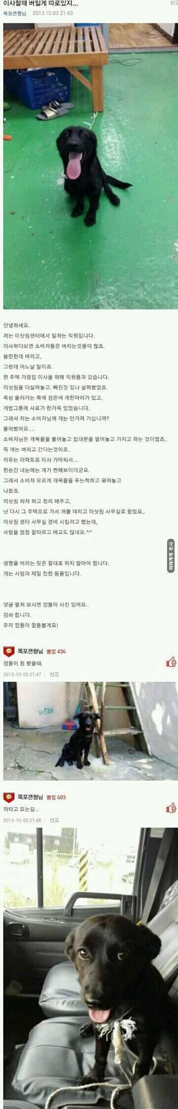아파트로 이사해서 버리고 감 | 인스티즈