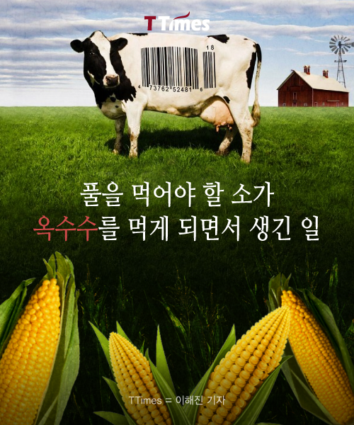 형제축산 이미지