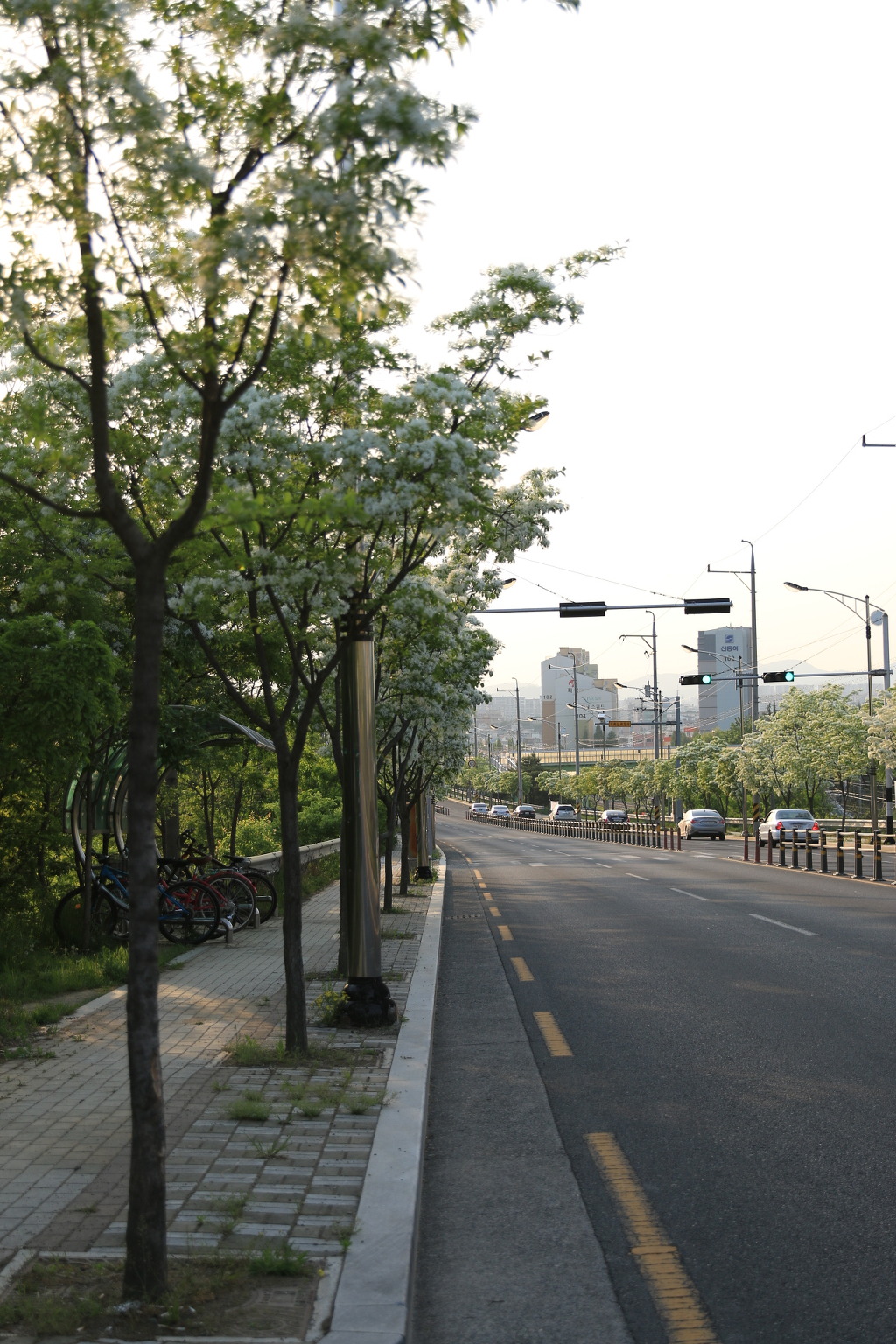 이팝 이미지