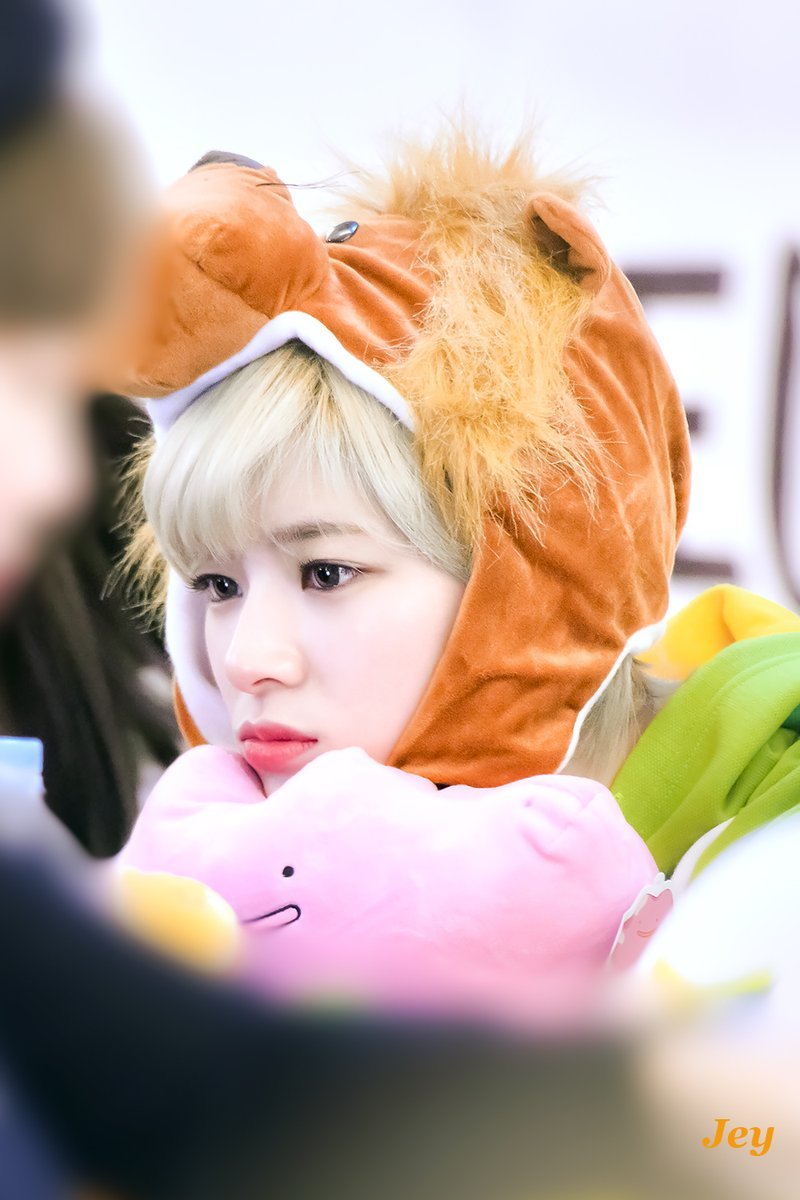 트와이스 정연 | 인스티즈