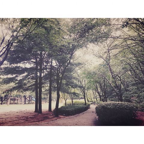 은근 많은 사람들이 좋아하는 냄새 | 인스티즈
